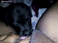 [ Zoophilia Sex ] Fat Chinese female is having pleasure with a cute little puppy